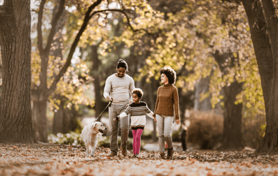 Já pensou em dar as boas-vindas a mais um membro na família? Conheça as 5 raças de cães que melhor se adaptam às famílias