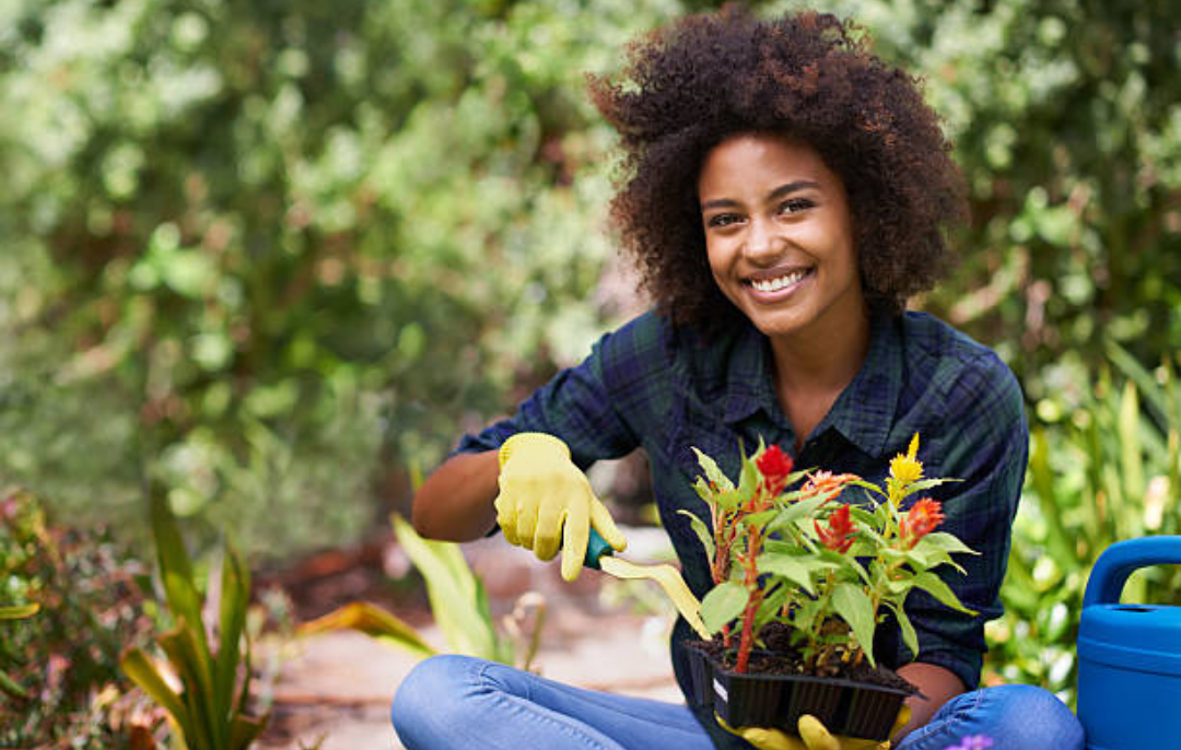 7 plantas aromáticas que não precisam de terra para crescer